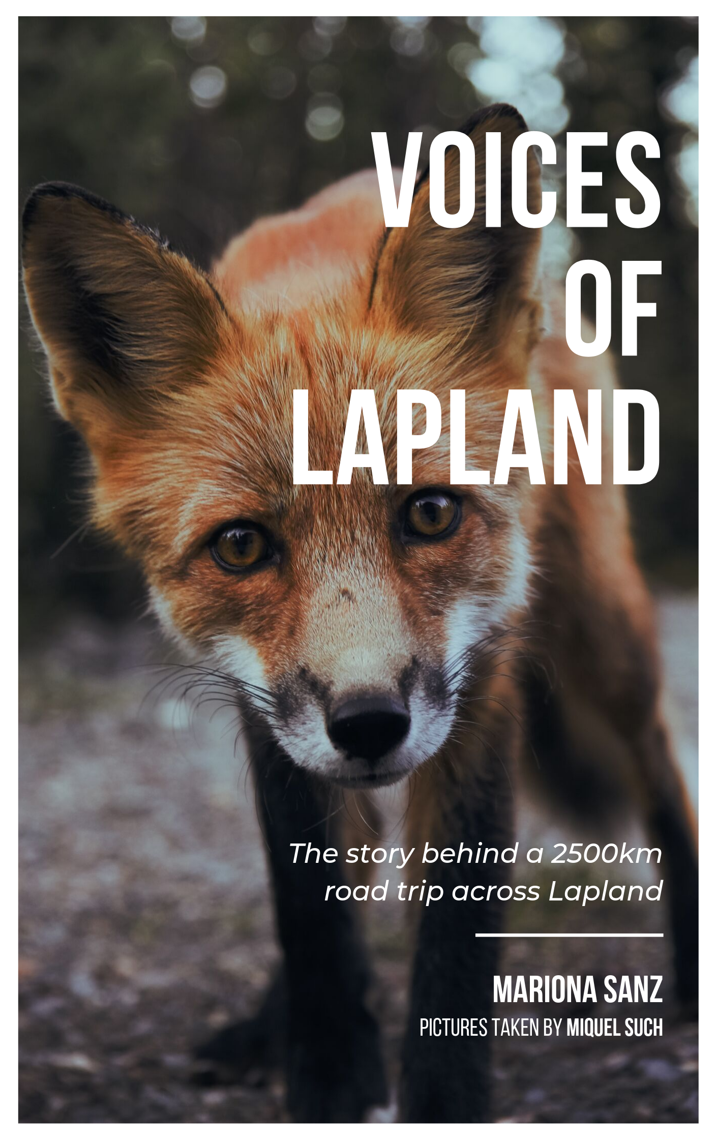 VOICES OF LAPLAND - Book (1)